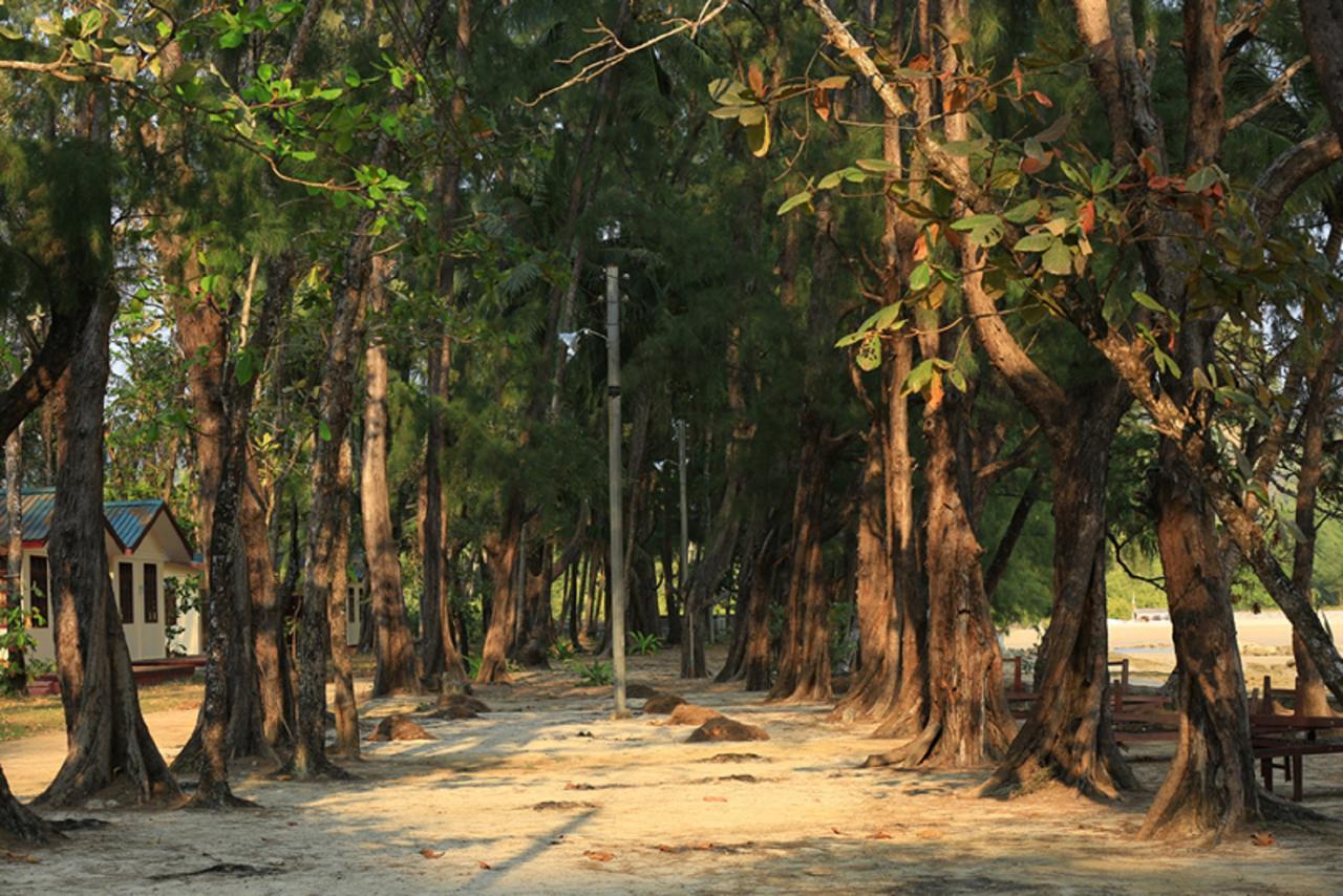 Coconut Island Resort Ngapali Esterno foto